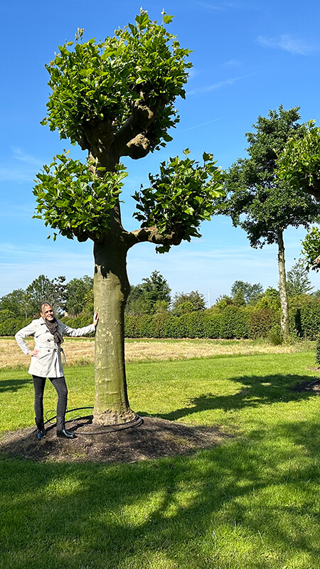 bijzondere-bomen-william-de-boet-06